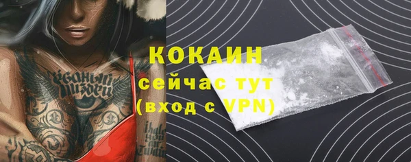 гашик Осташков