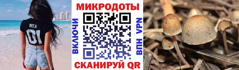 Галлюциногенные грибы мицелий хочу наркоту OMG ONION Воркута