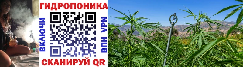 МАРИХУАНА White Widow Воркута